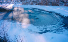 01_DSC02186_Lightroom_Large_A3_s