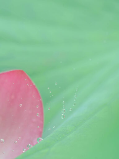 01_★DSC00417_現像