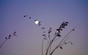 03_DSC02708