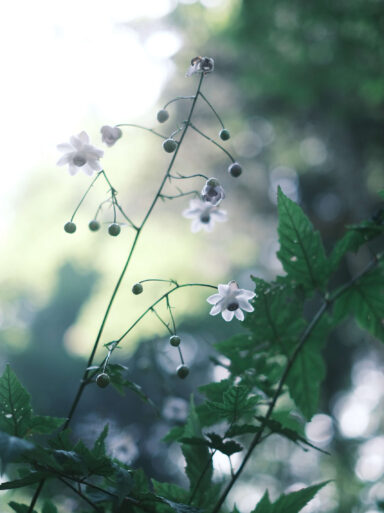 03_DSCF3479