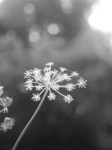 04_DSC02936