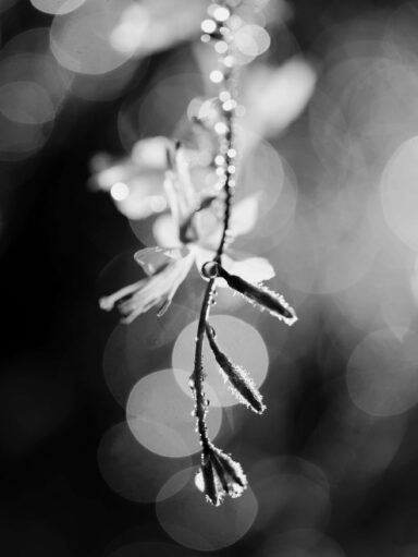 05_DSC04078_clean