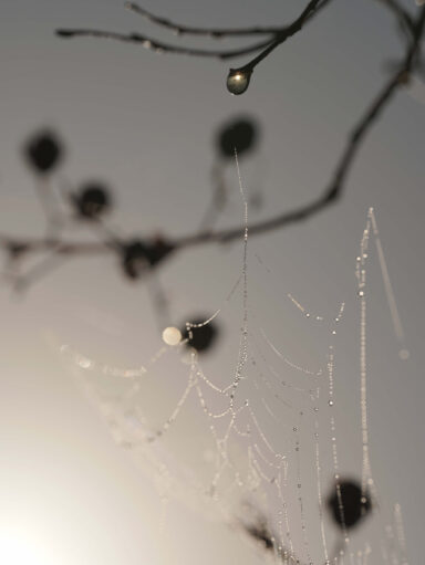 06_DSC00415_A3