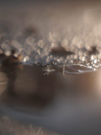 08_DSC01743