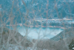 12_DSC09459