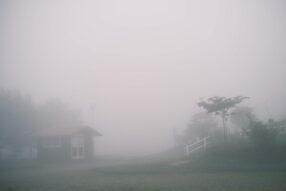 14_DSCF0871